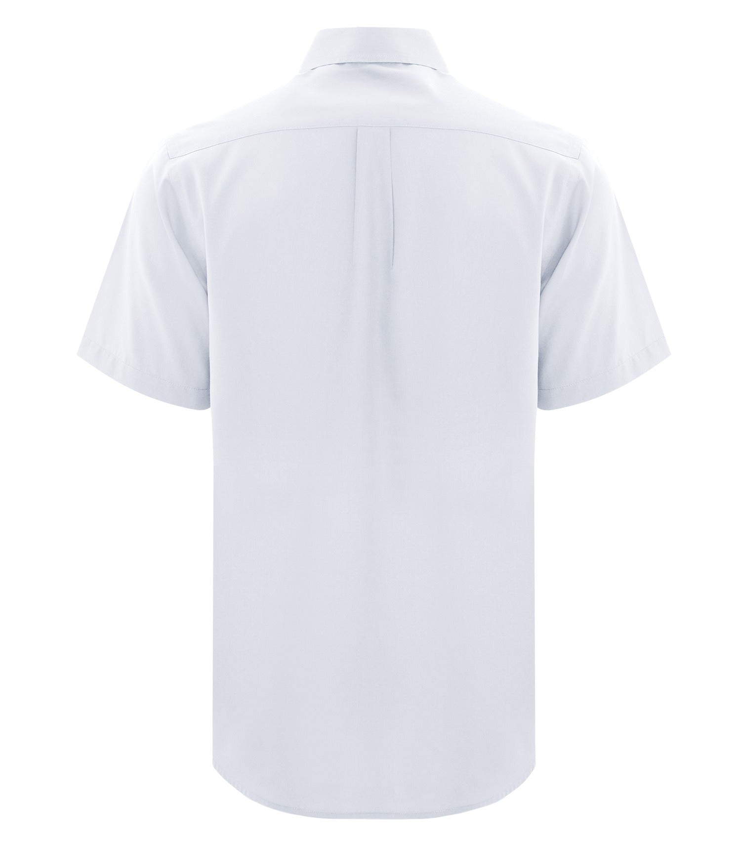 True White-model Image