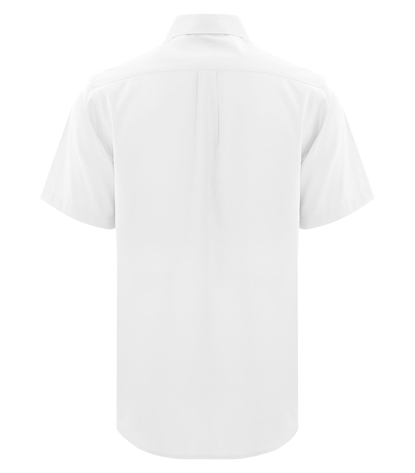 White-model Image