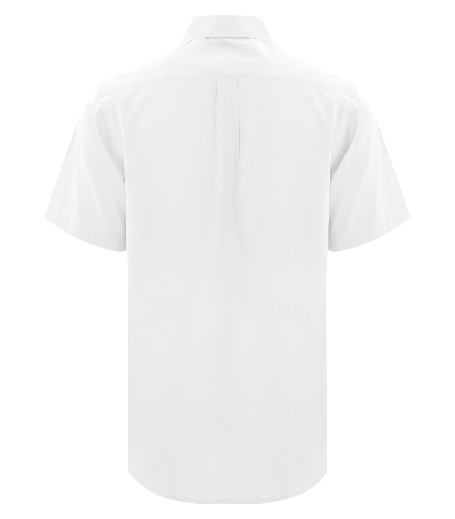 White-model Image
