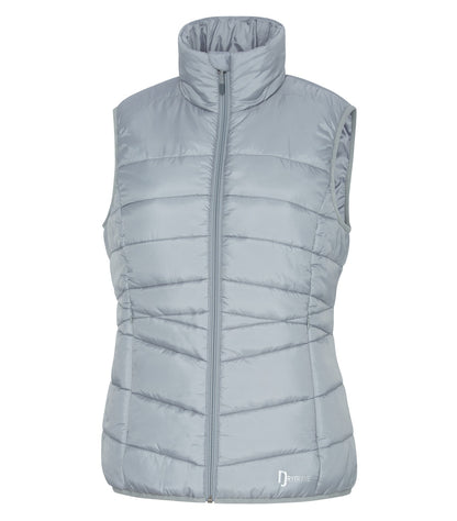 Platinum Grey-model Image