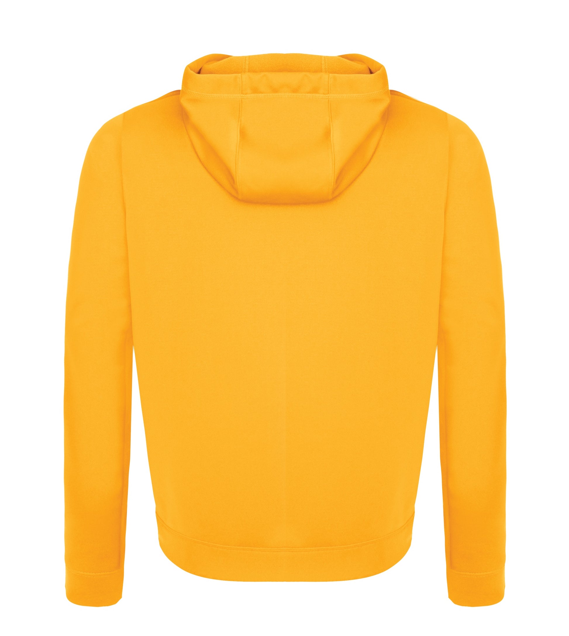 Gold-model Image