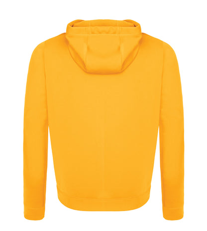 Gold-model Image