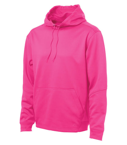 Raspberry-model Image