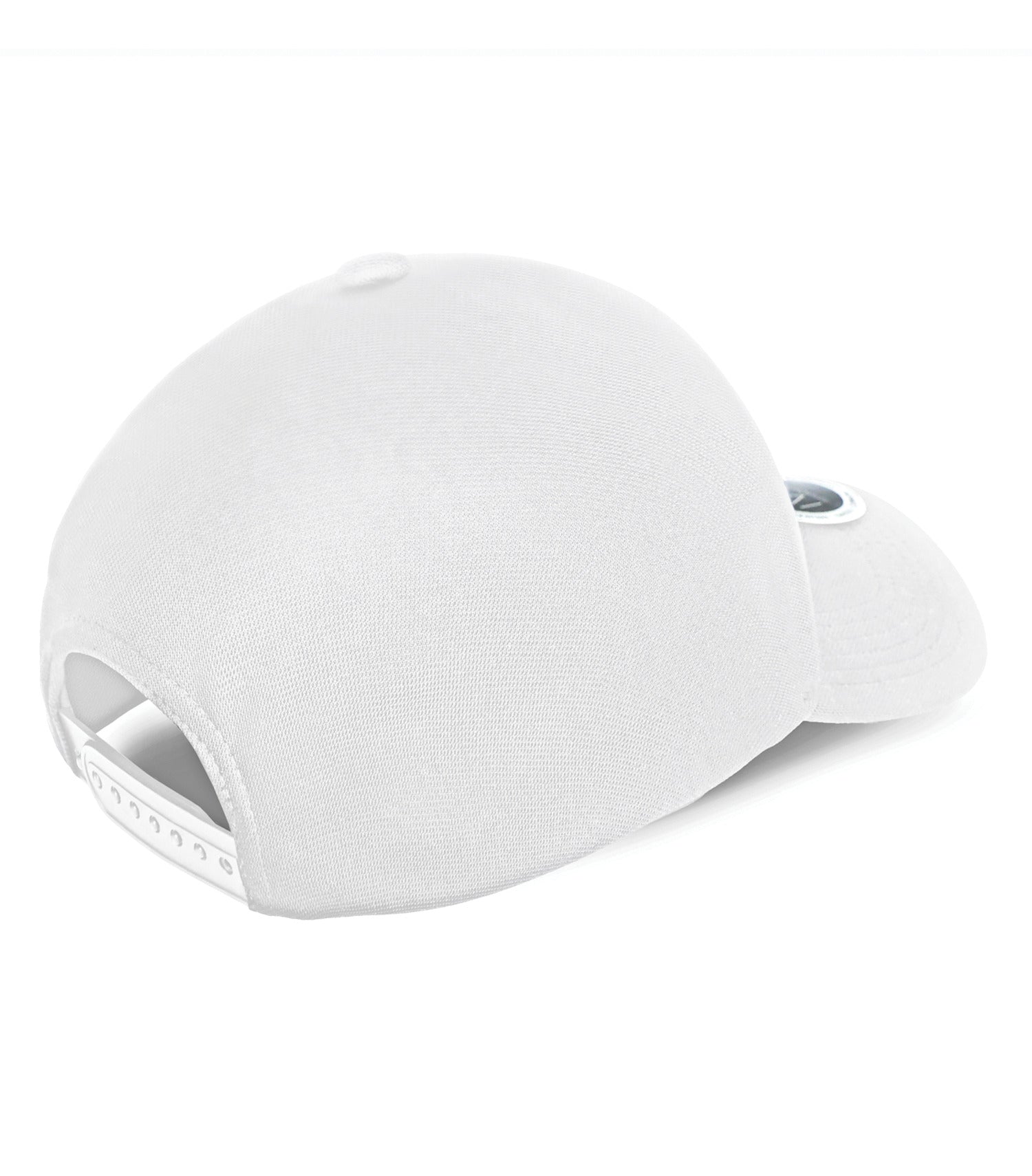 White-model Image