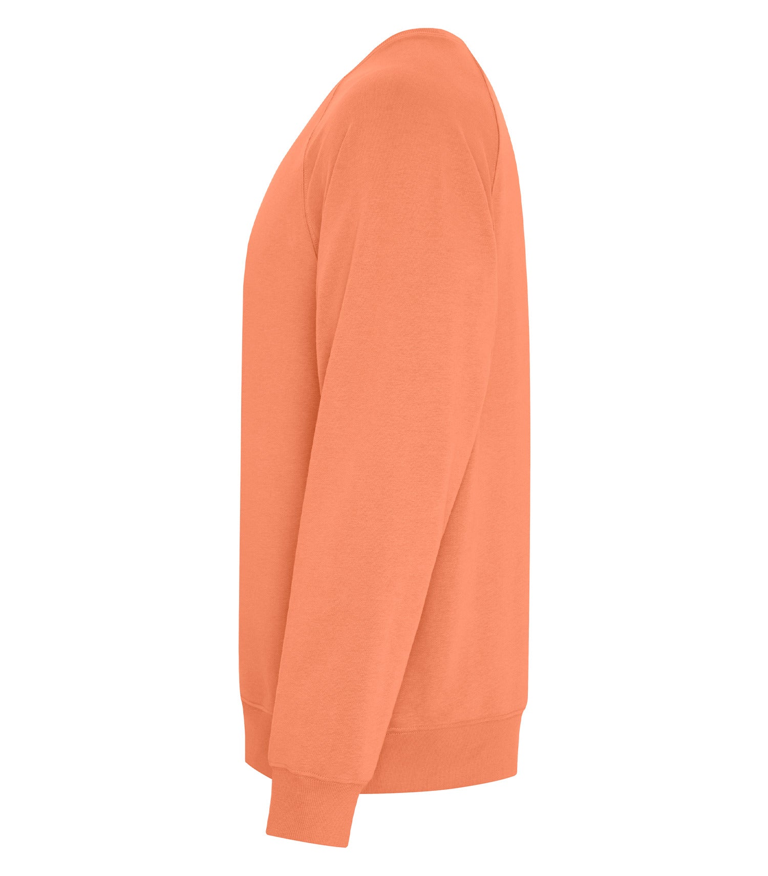 Terracotta-model Image