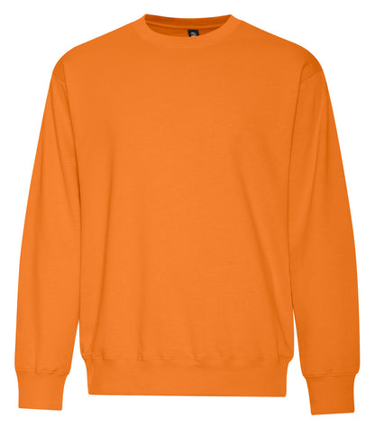 Orange Burst-model Image