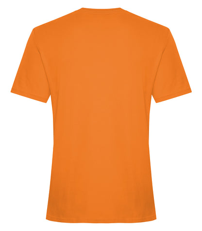 Orange Burst-model Image