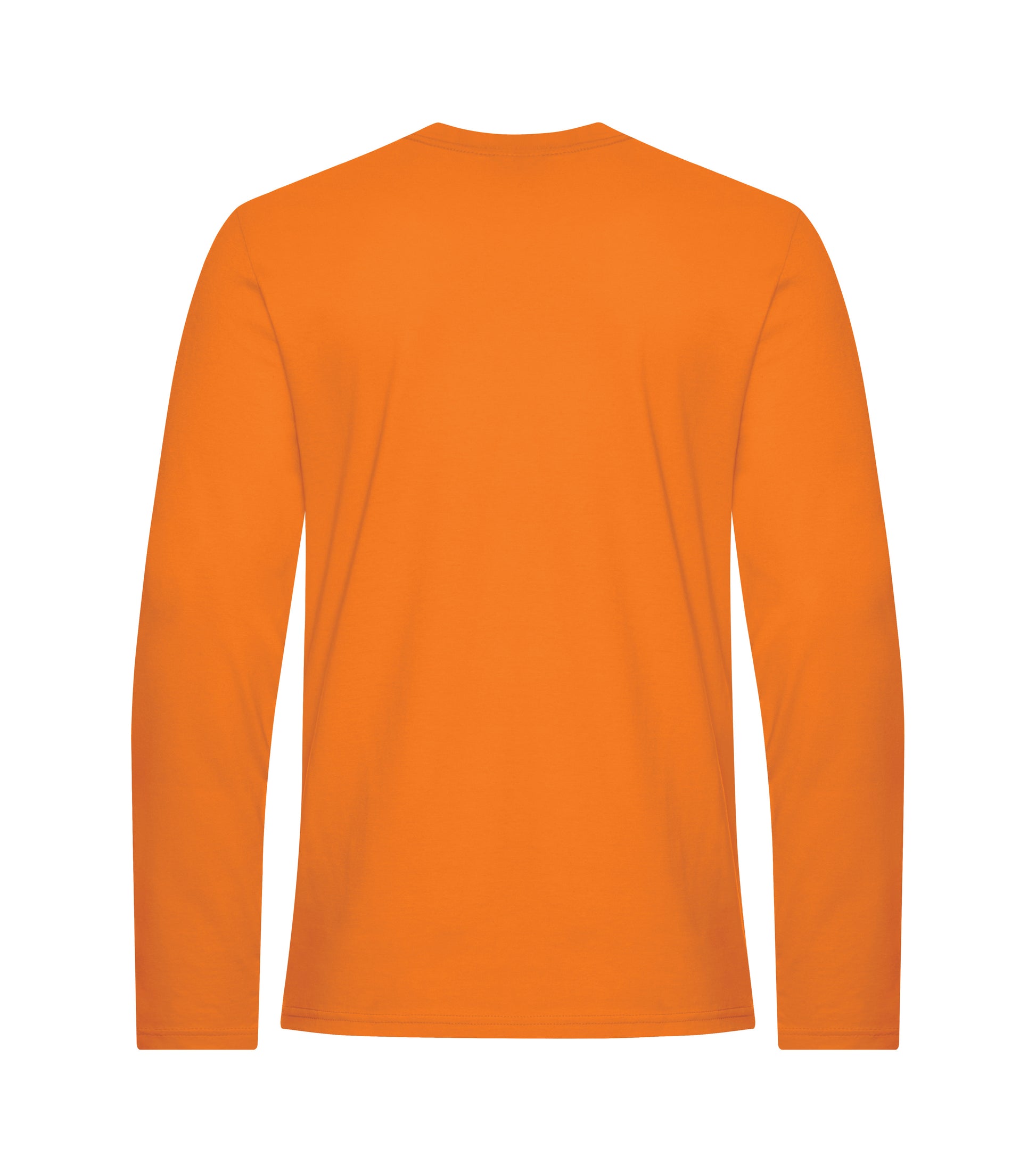 Orange Burst-model Image