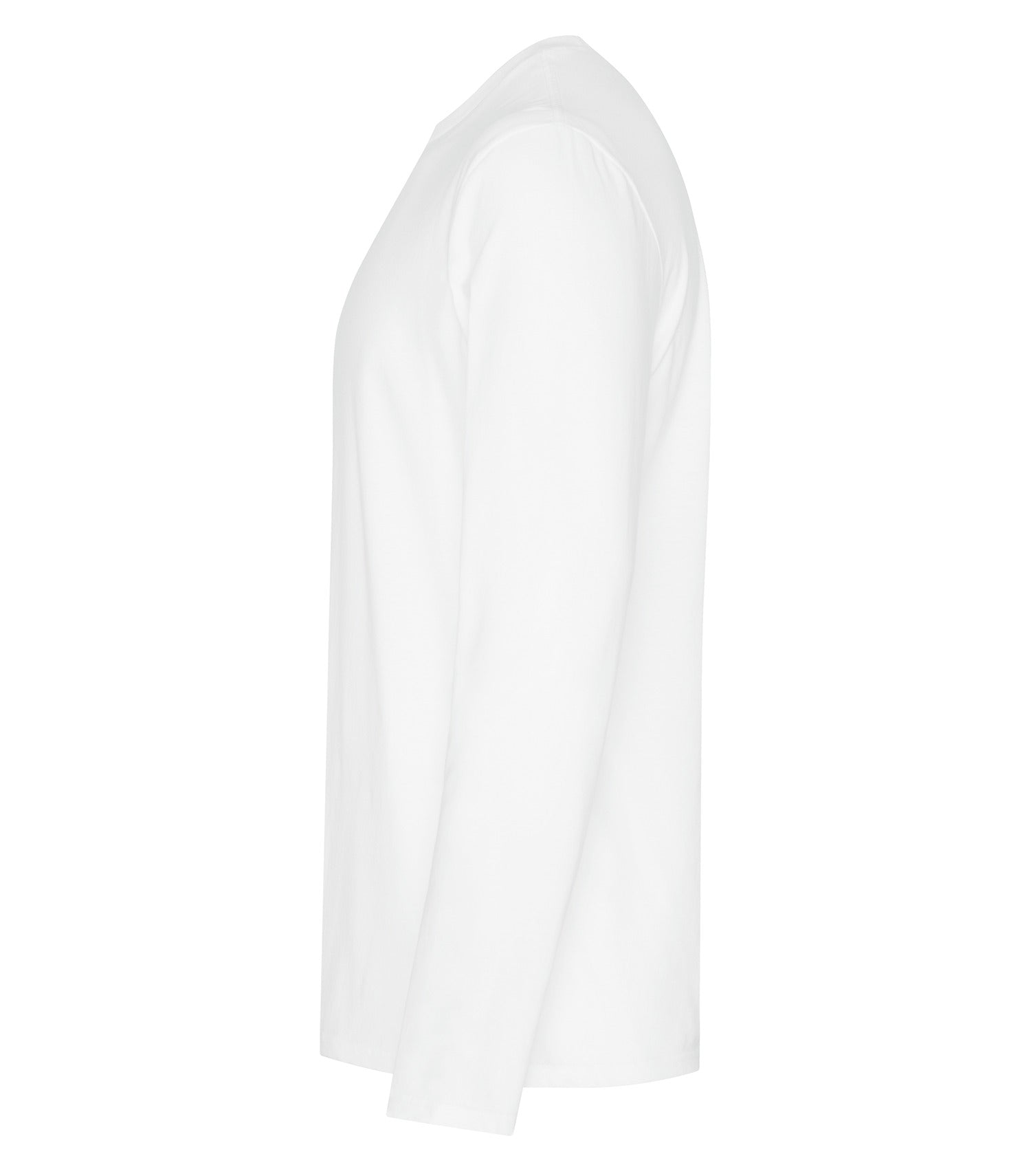 White-model Image