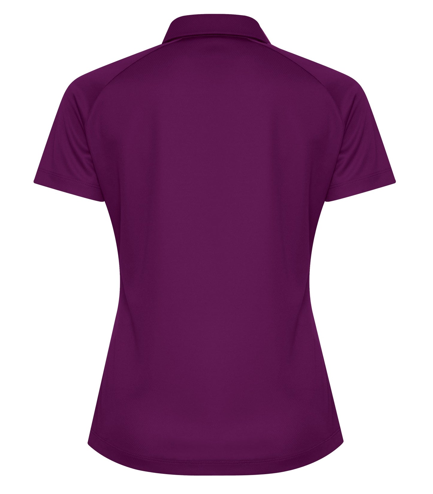 Violet-model Image