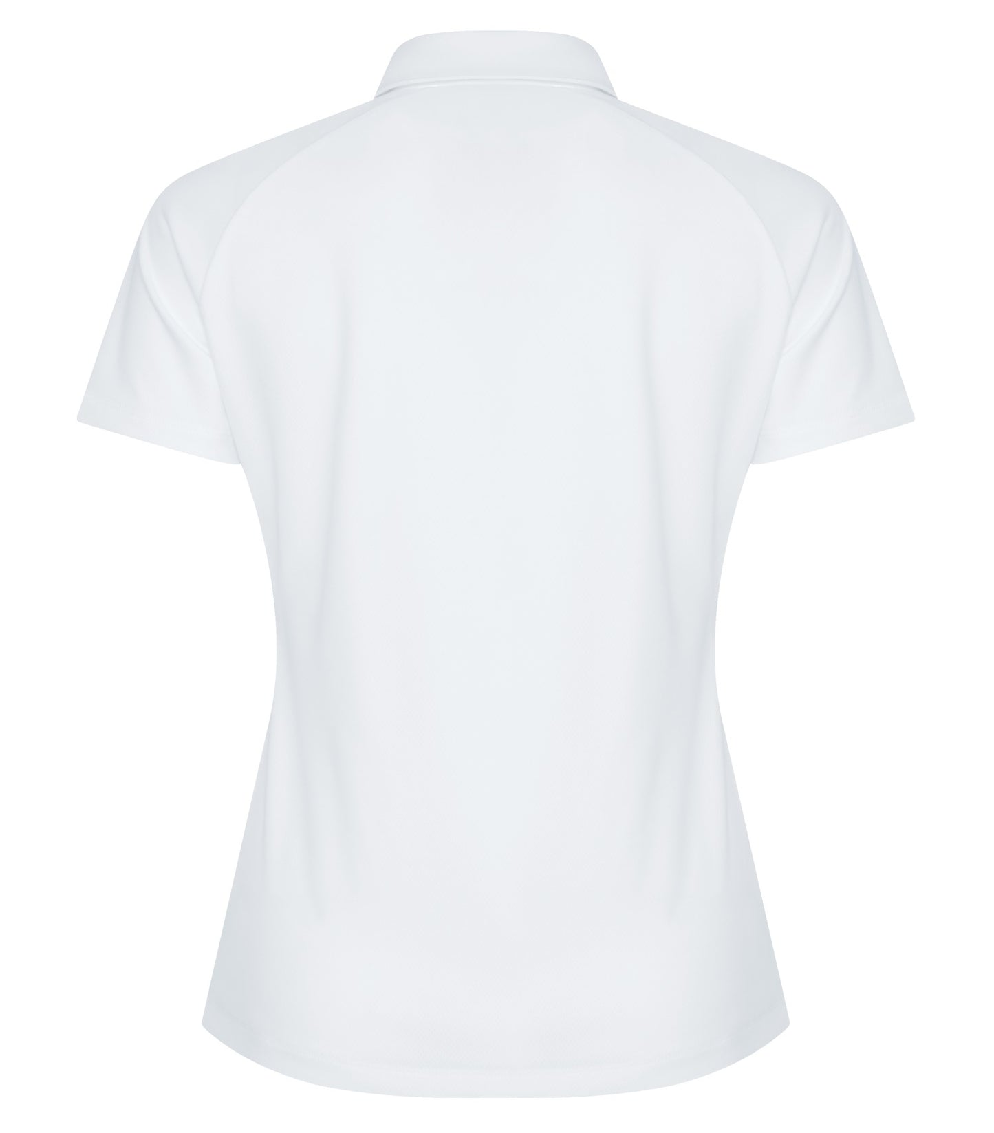 White-model Image