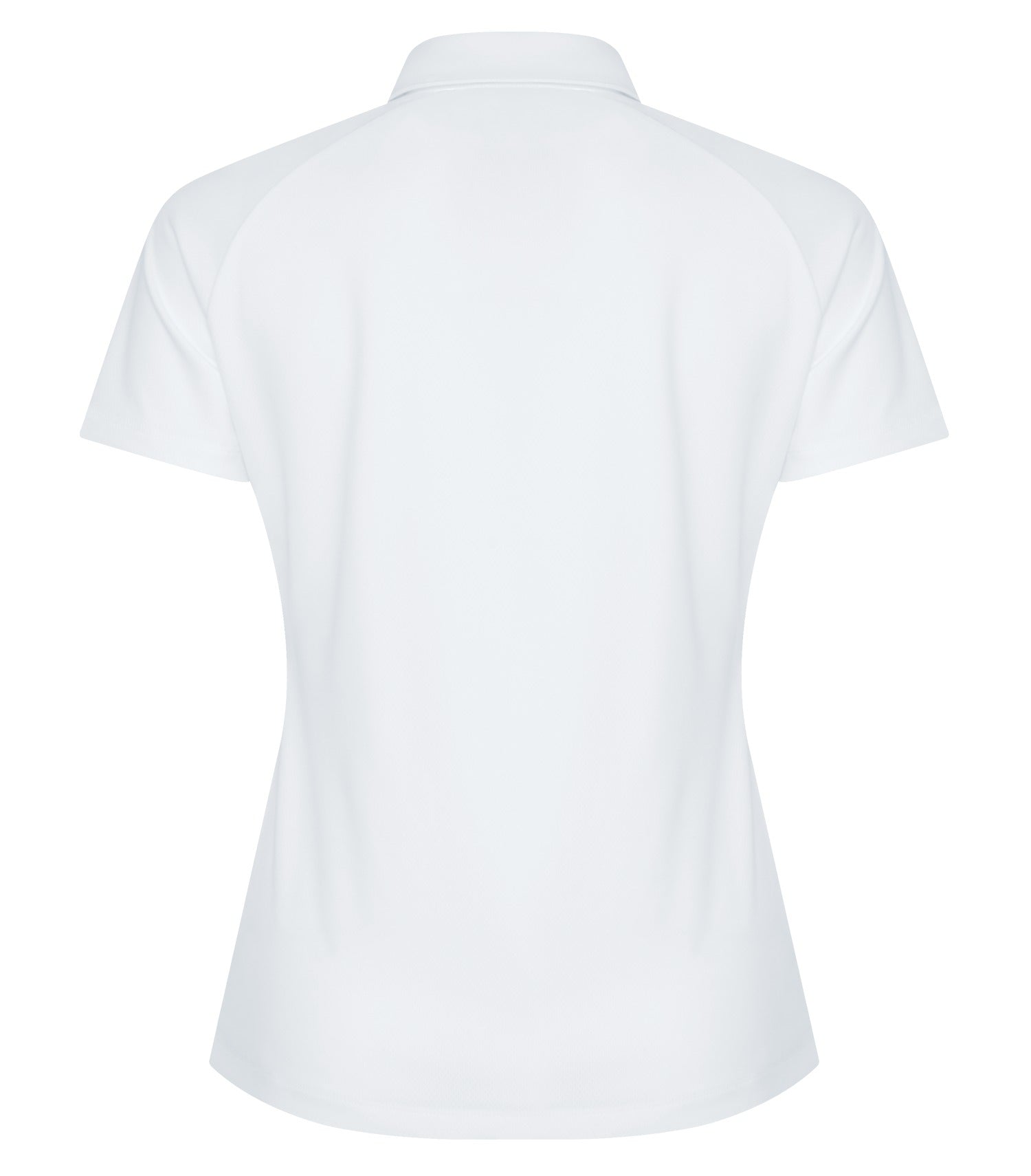 White-model Image