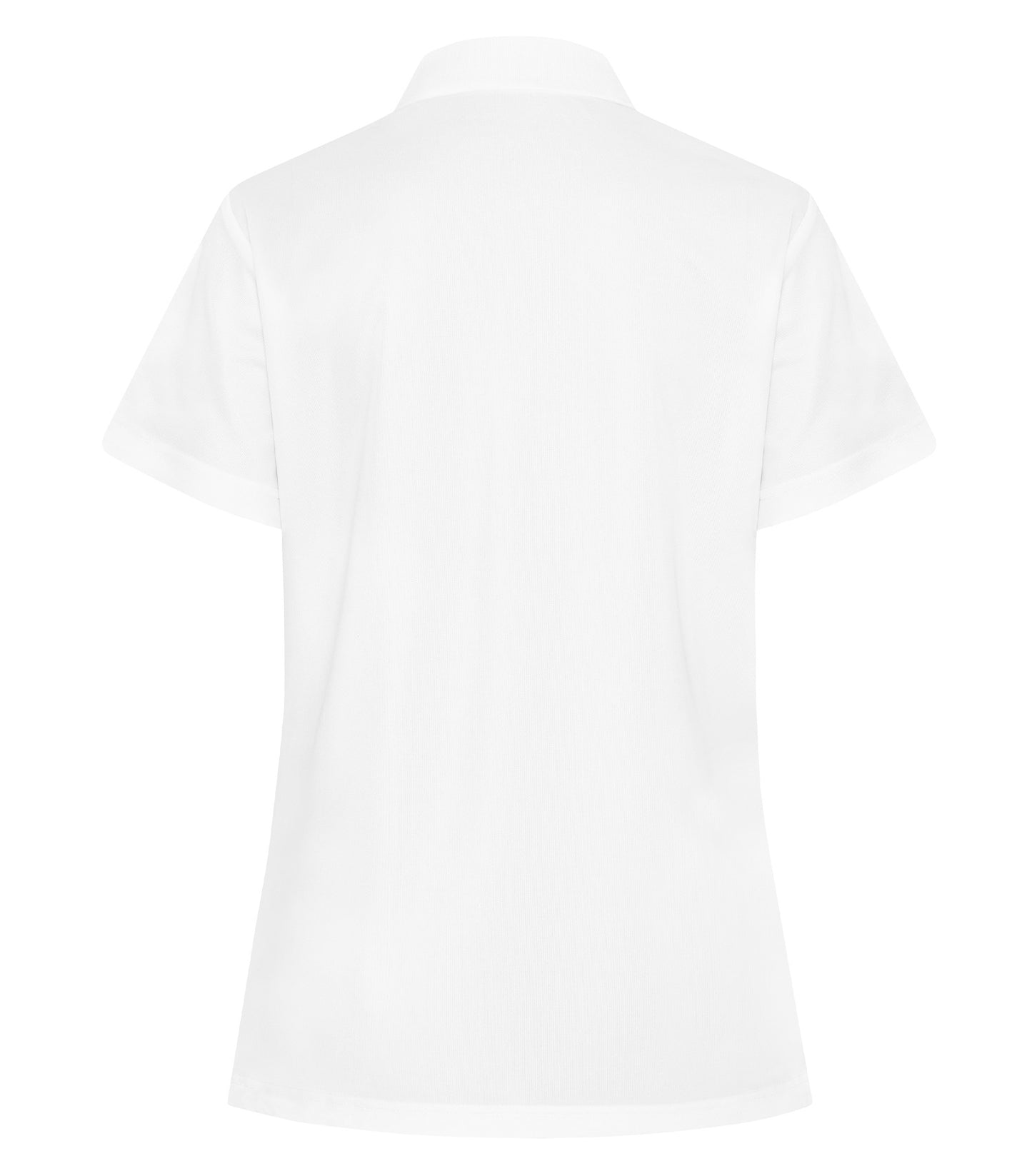 White-model Image