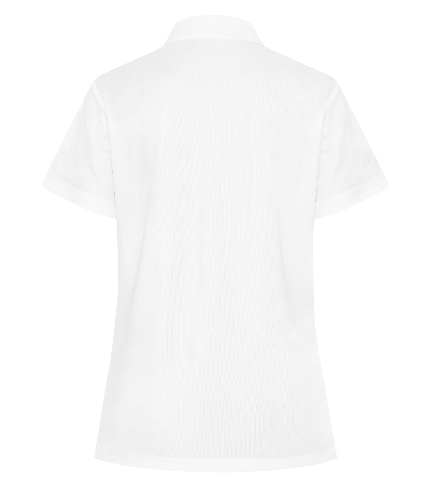 White-model Image