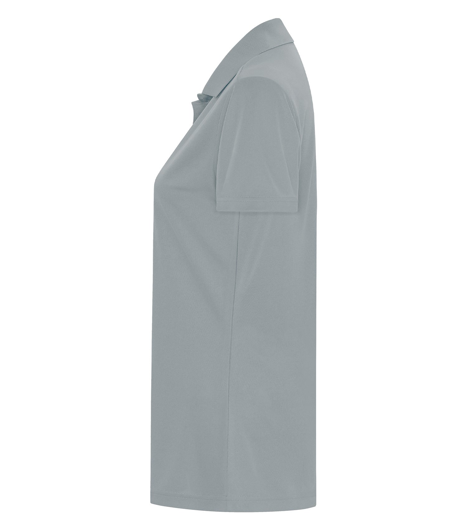 Silver-model Image