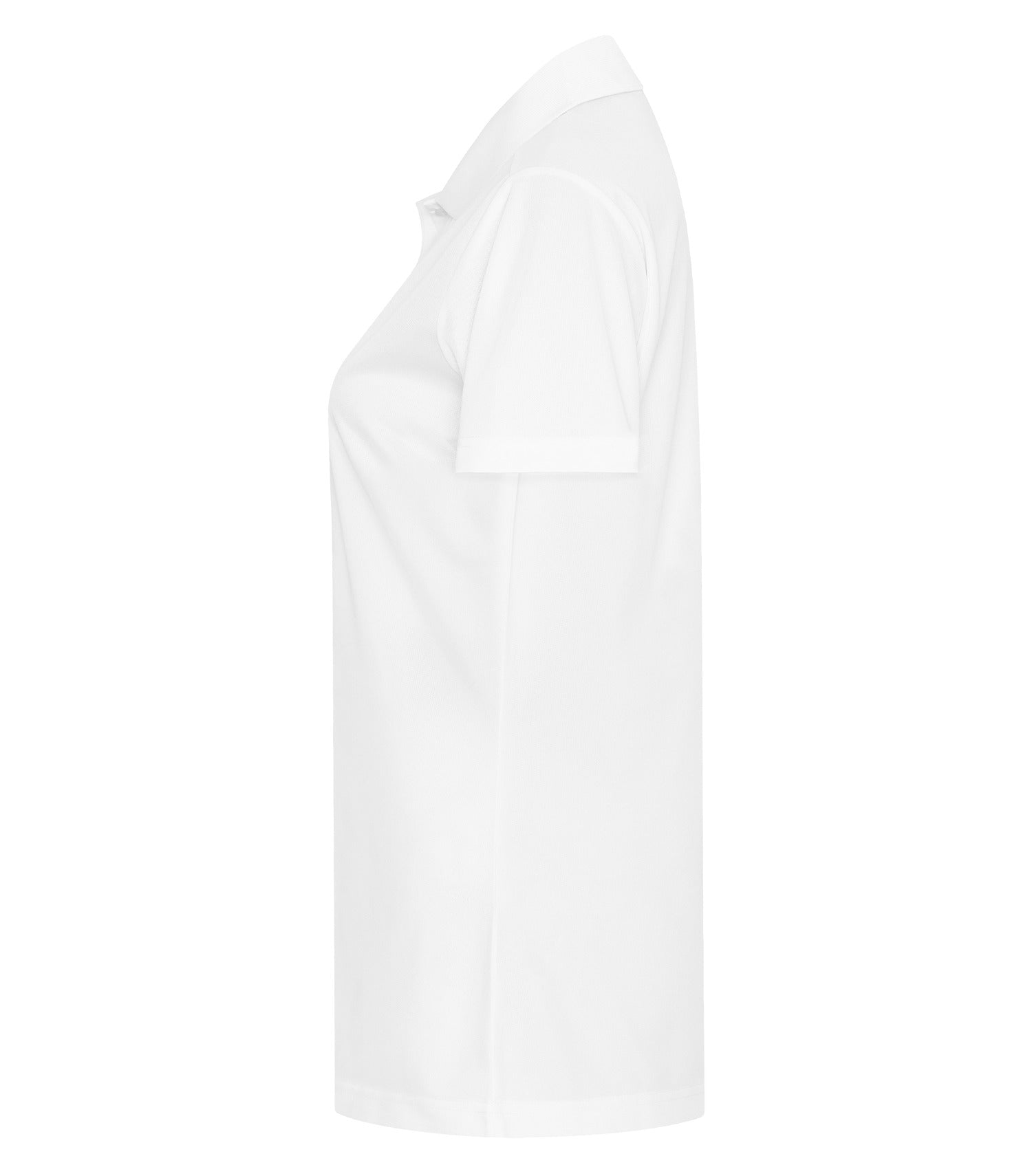 White-model Image