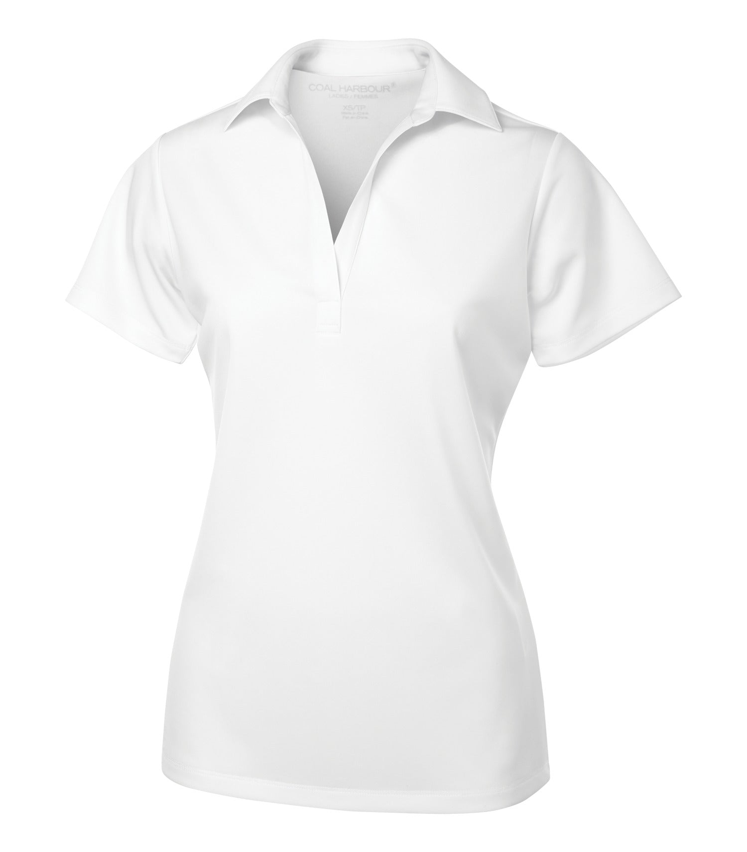 White-model Image