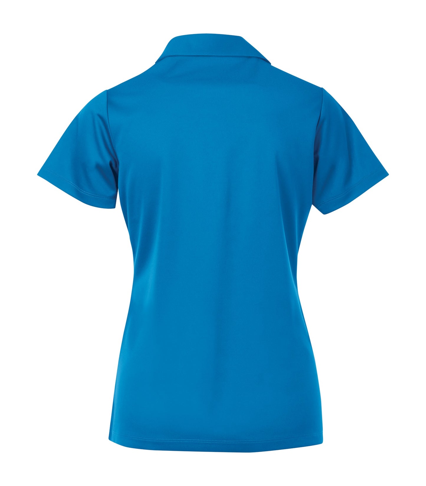 BrilliantBlue-model Image
