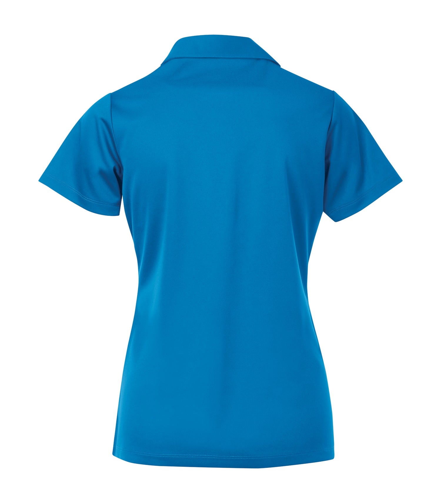 BrilliantBlue-model Image