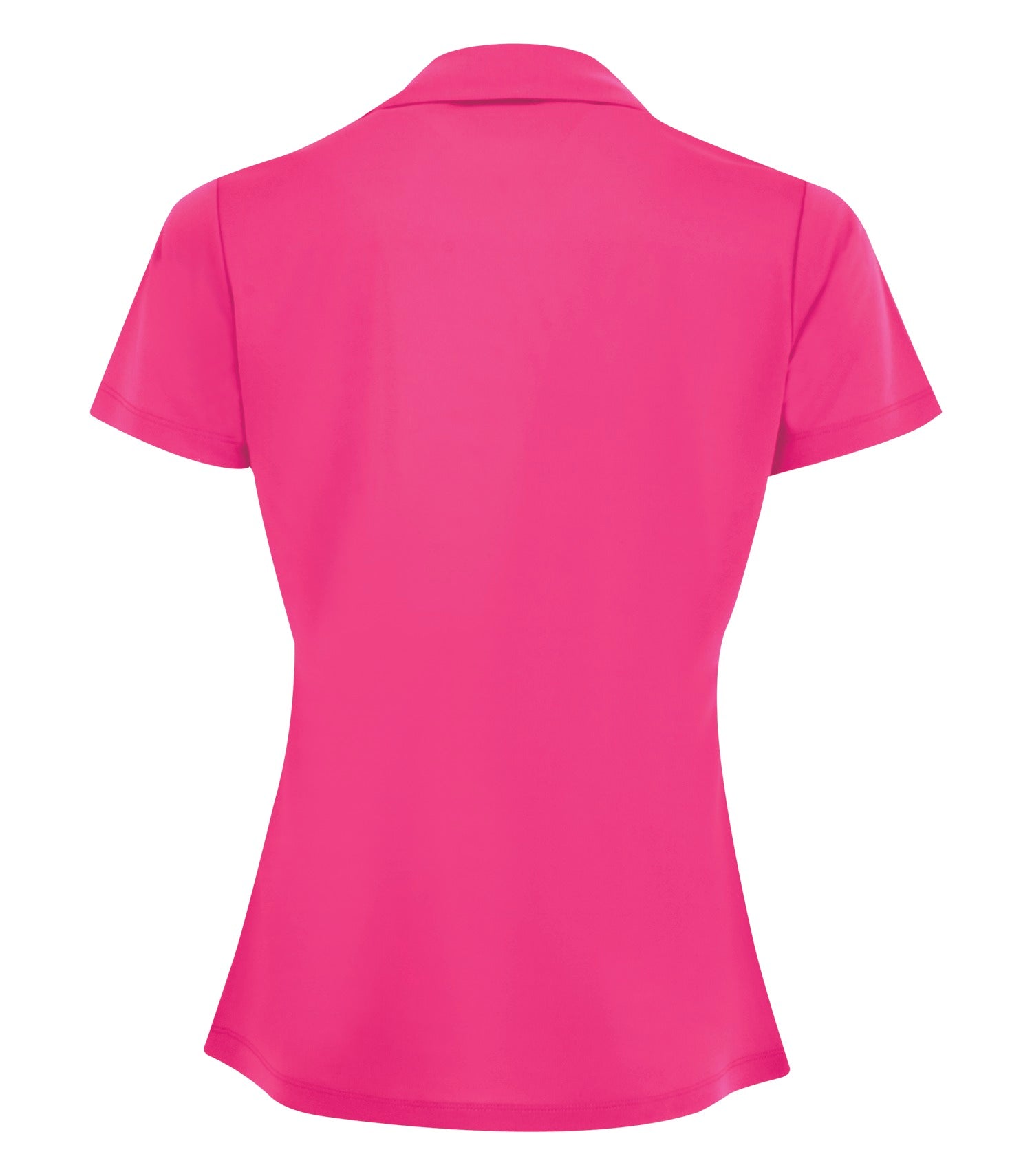 Pink Raspberr-model Image