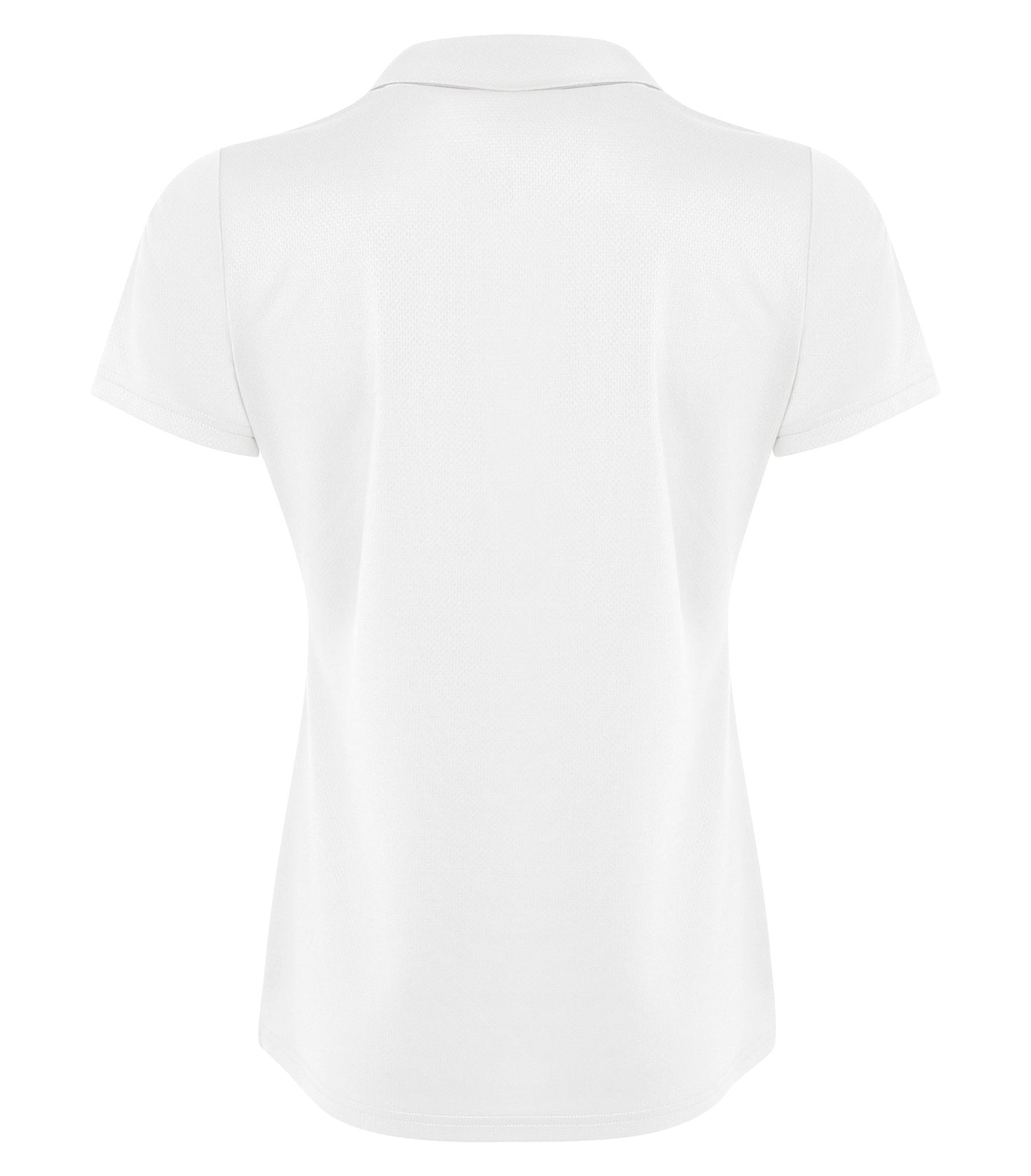 White-model Image