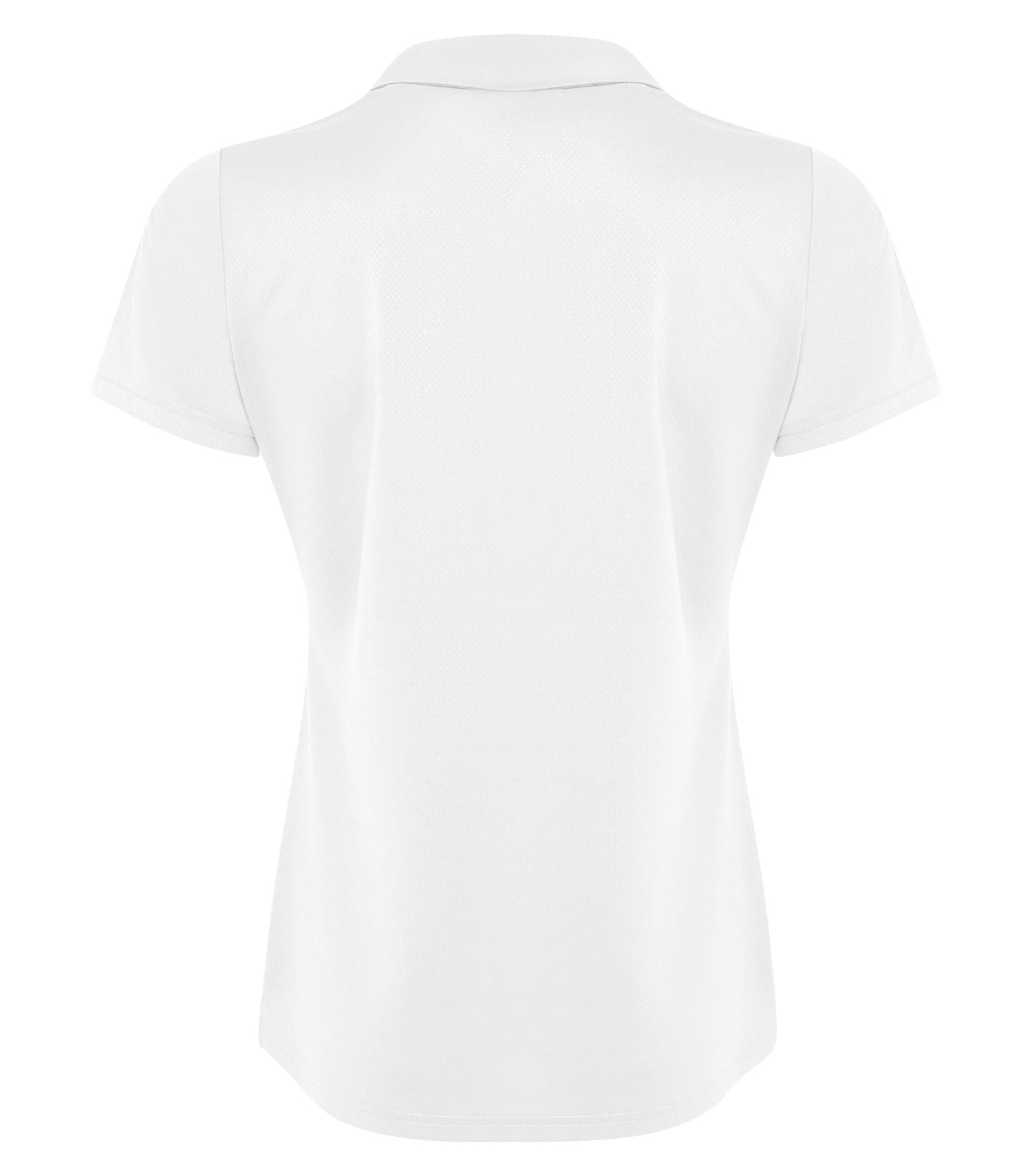White-model Image