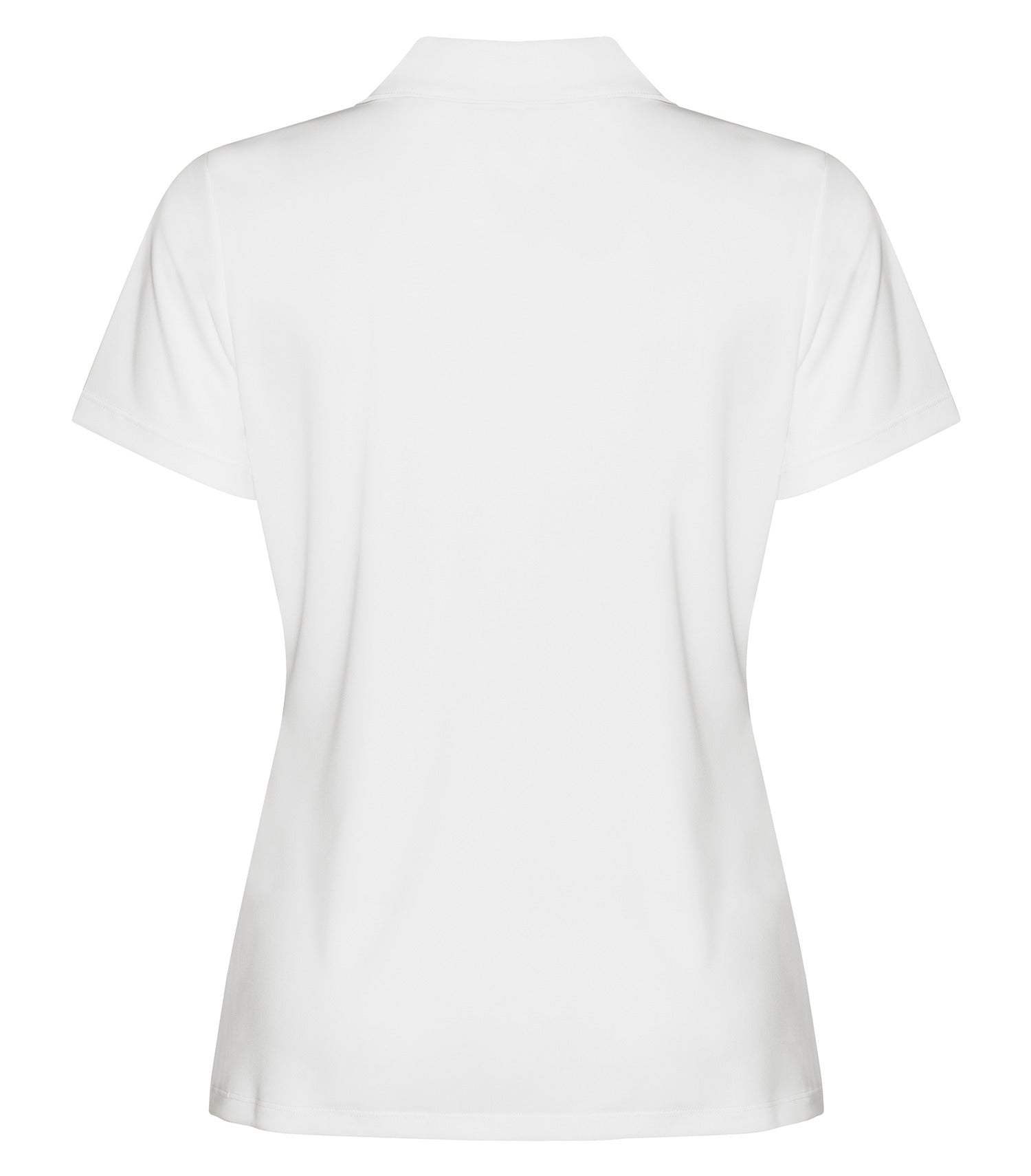 White-model Image