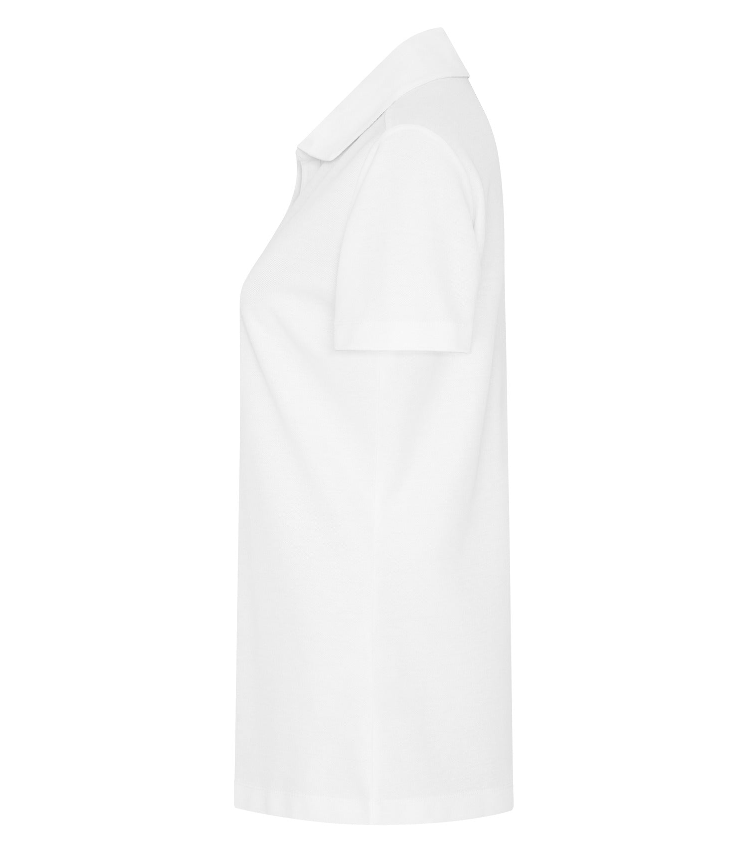 White-model Image