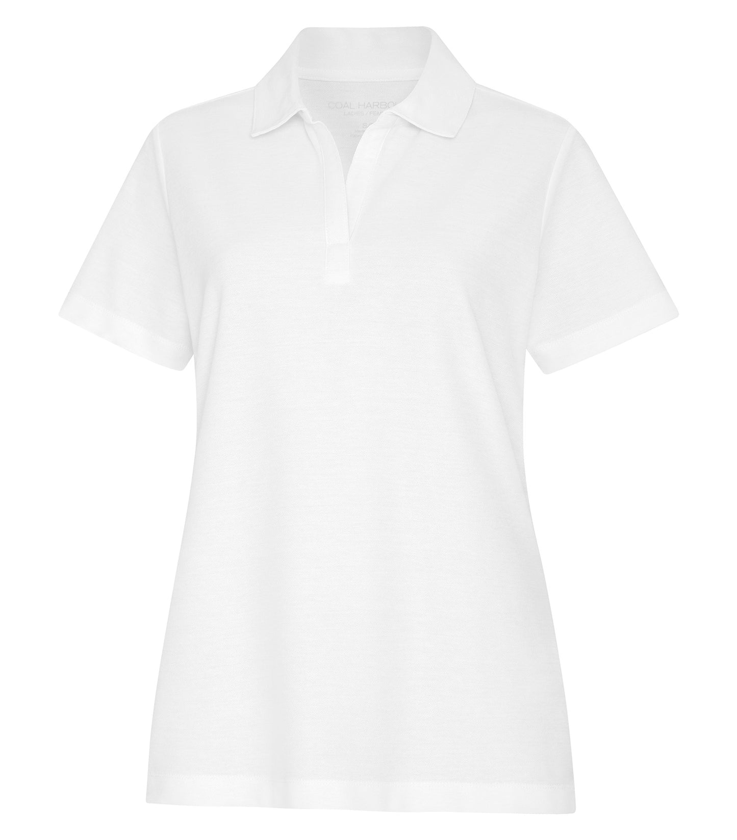 White-model Image
