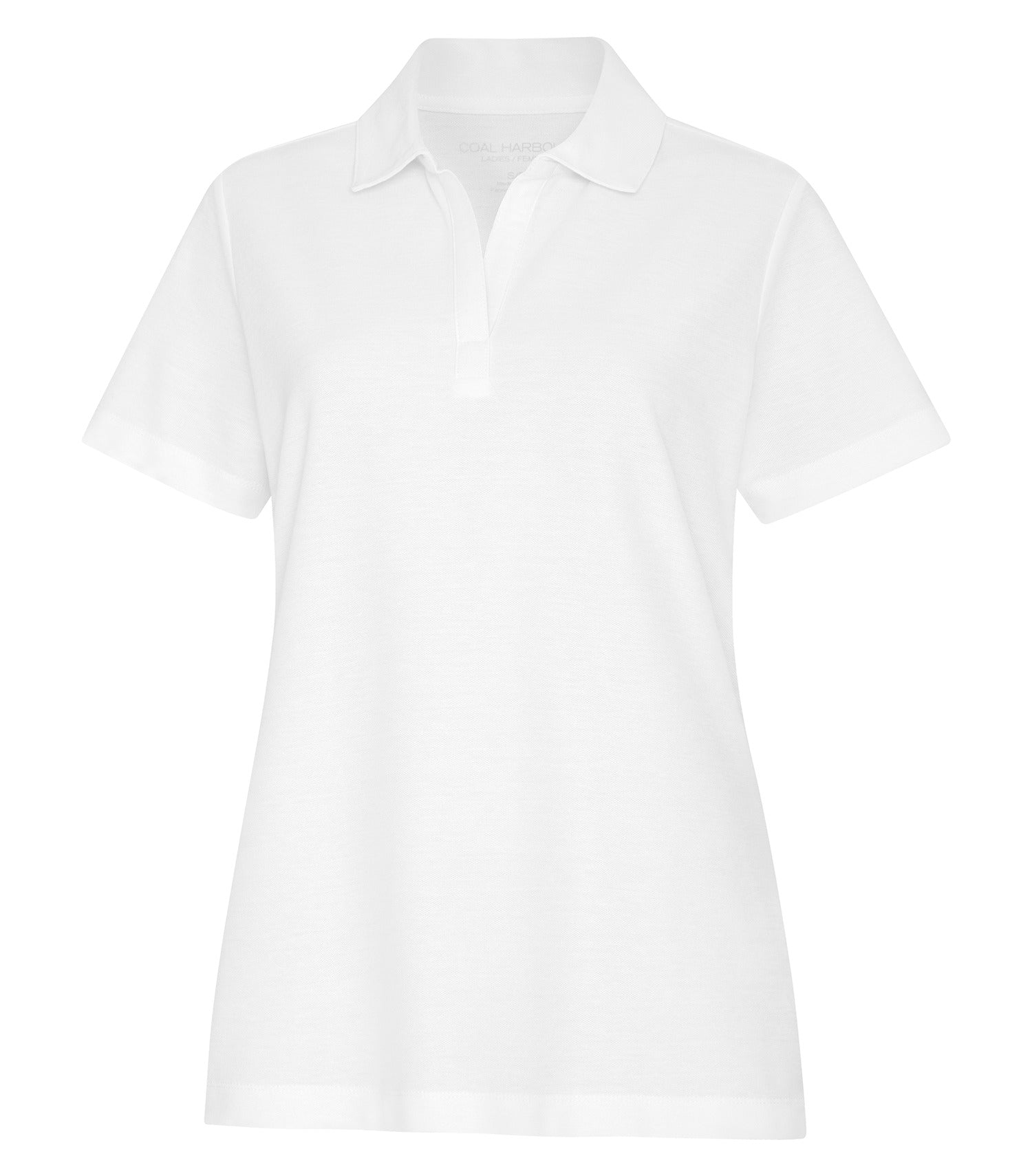 White-model Image