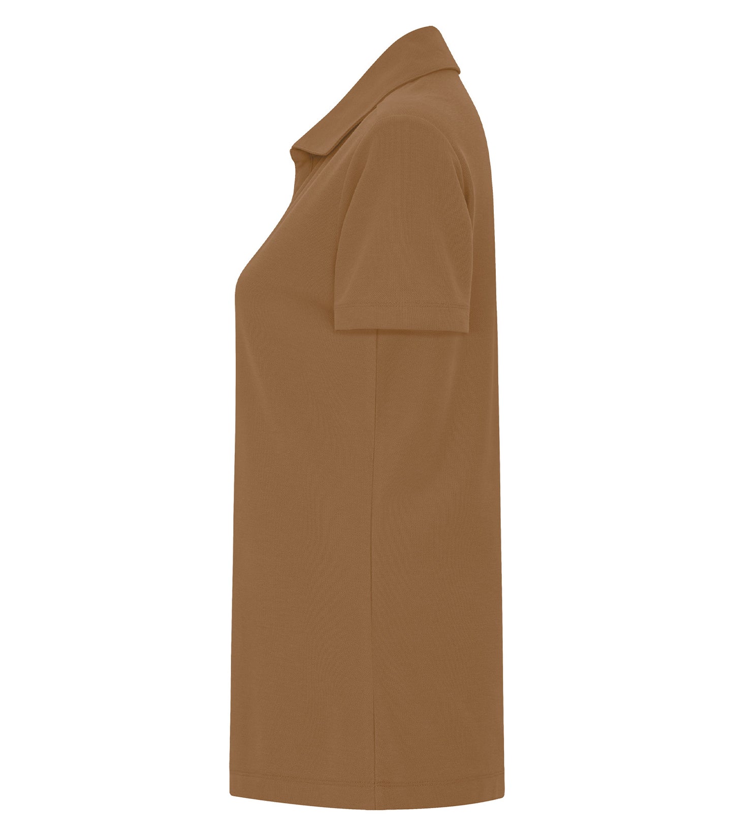 Duck Brown-model Image