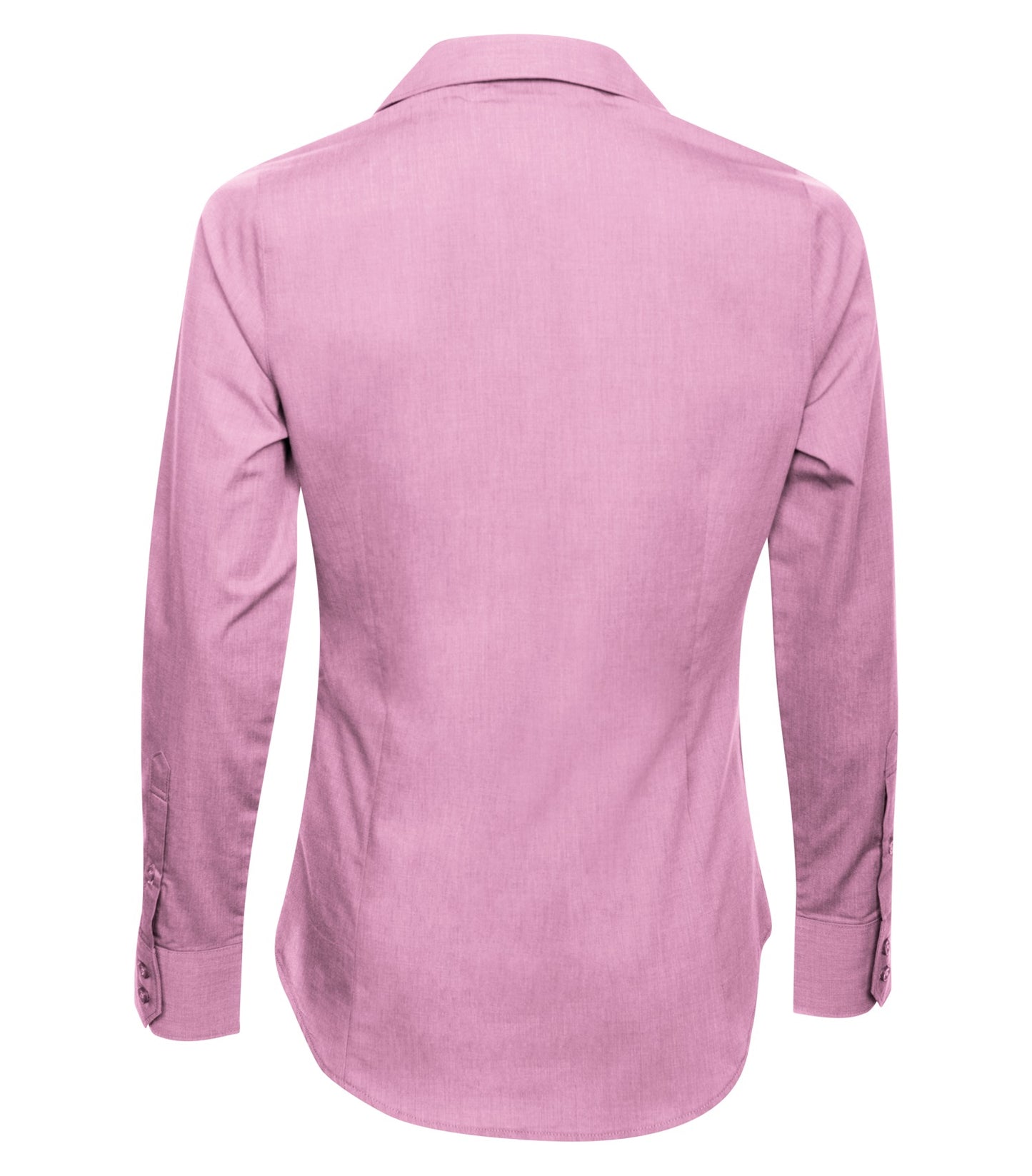 Pink Orchid-model Image