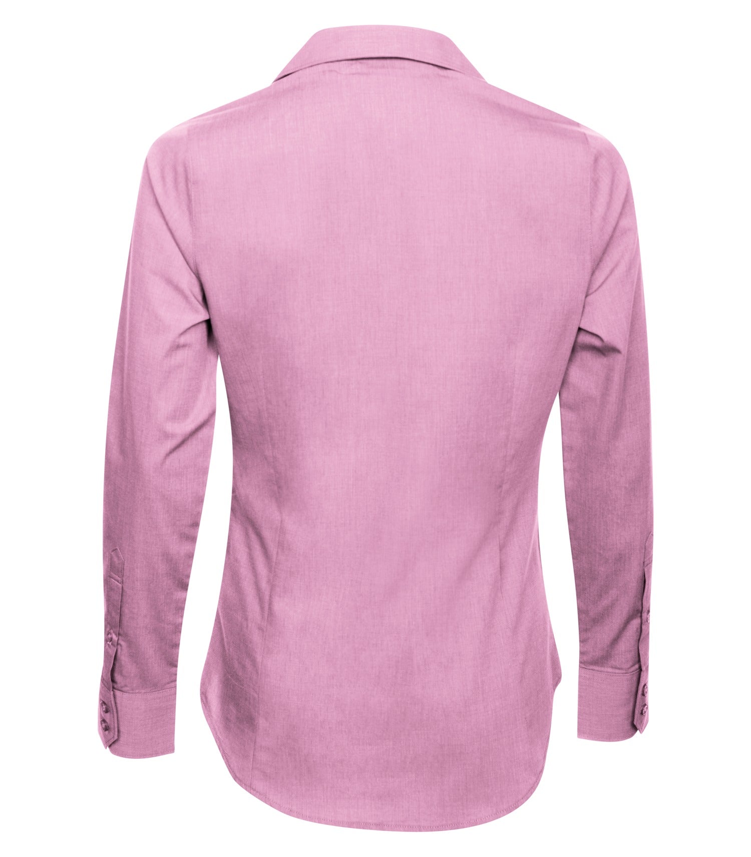 Pink Orchid-model Image