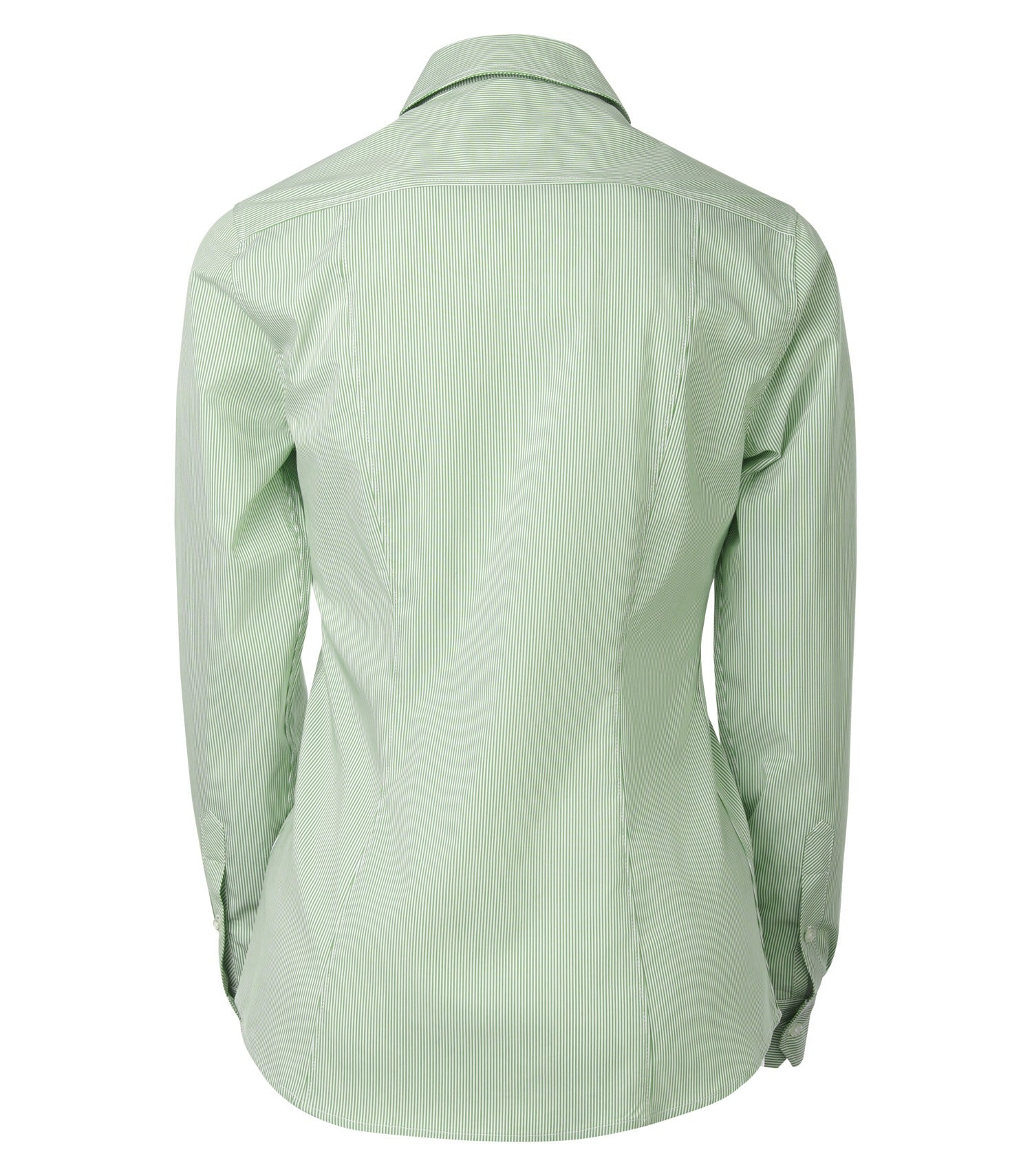 Wintergreen-model Image
