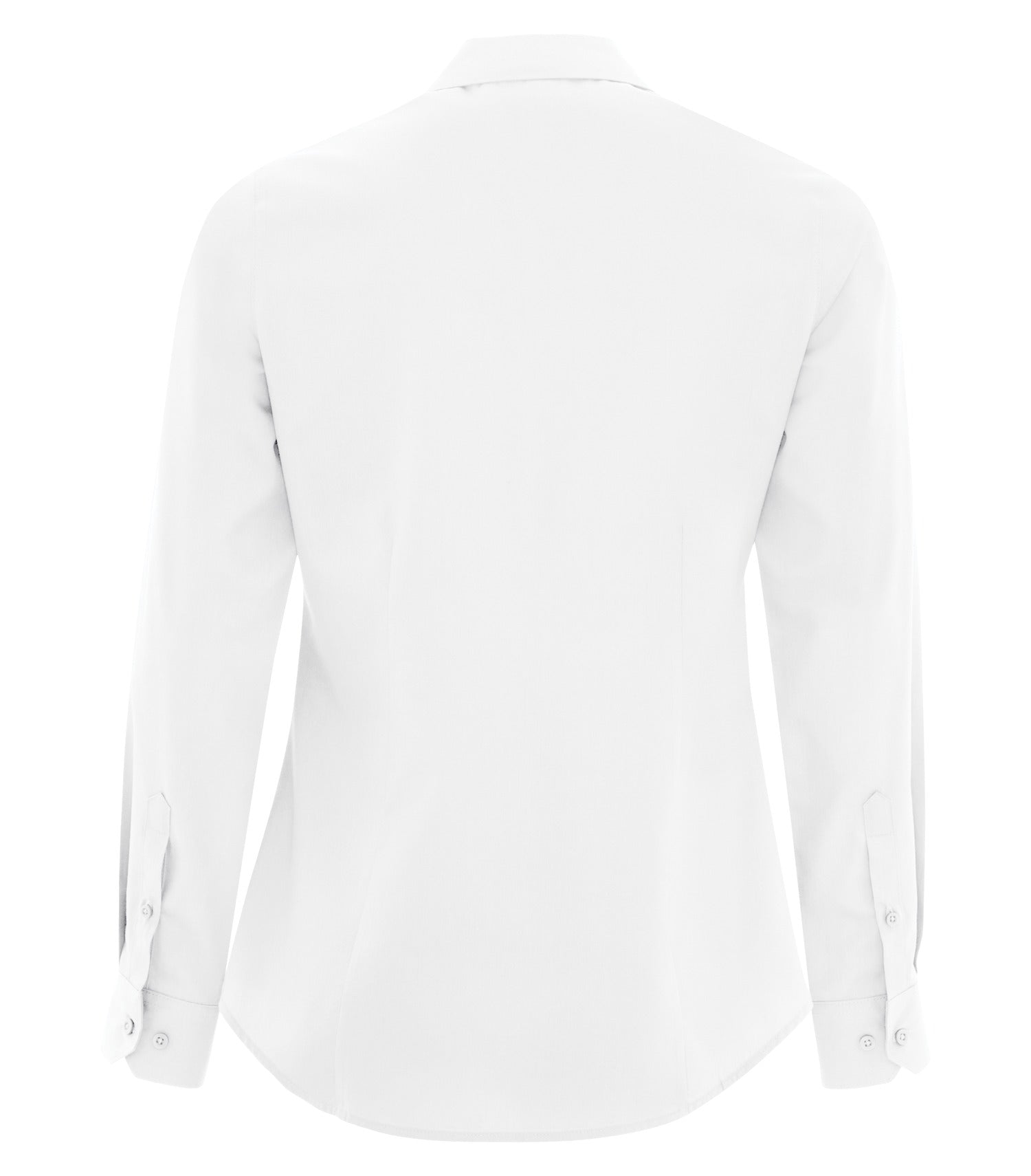 White-model Image