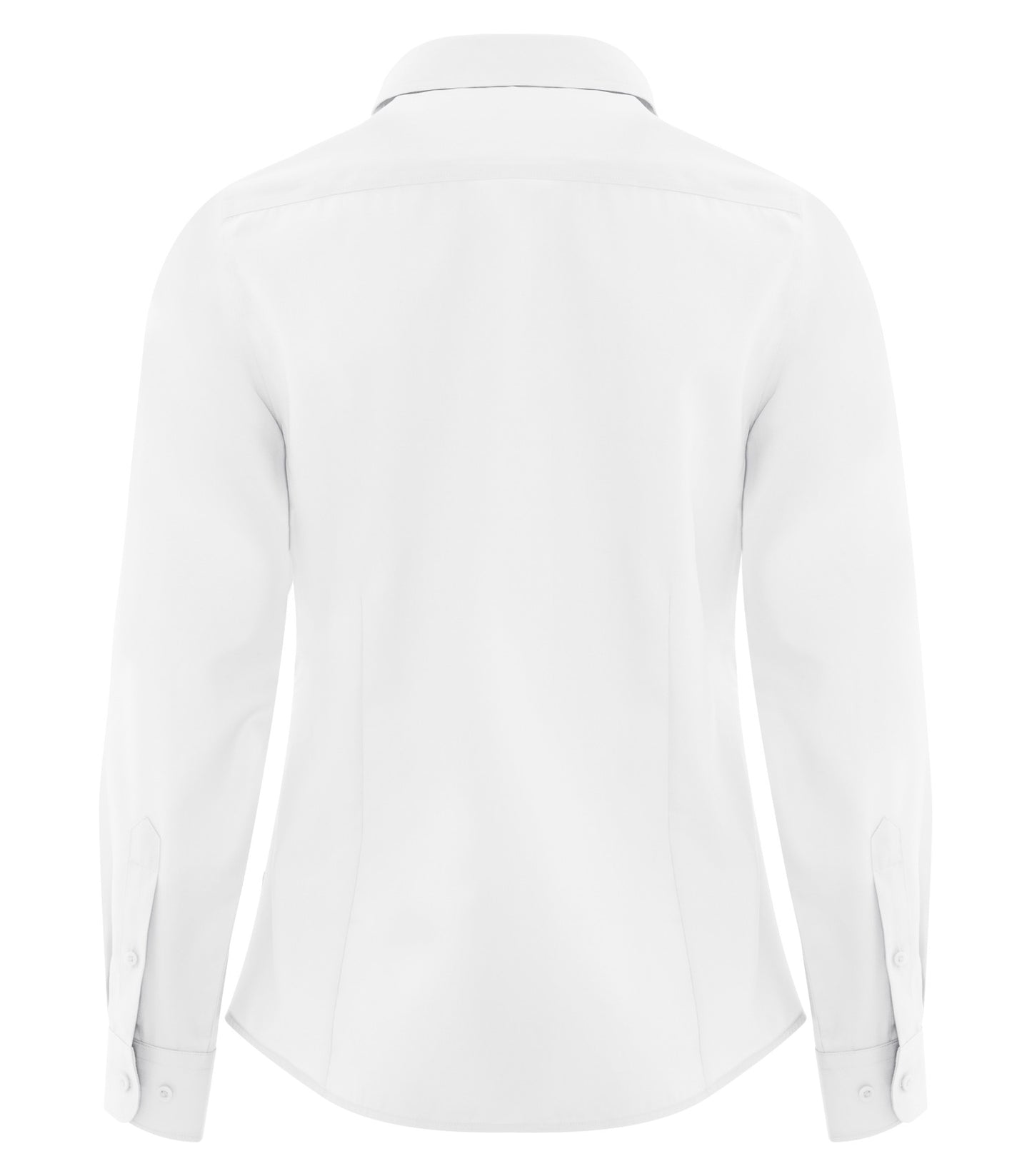 White-model Image