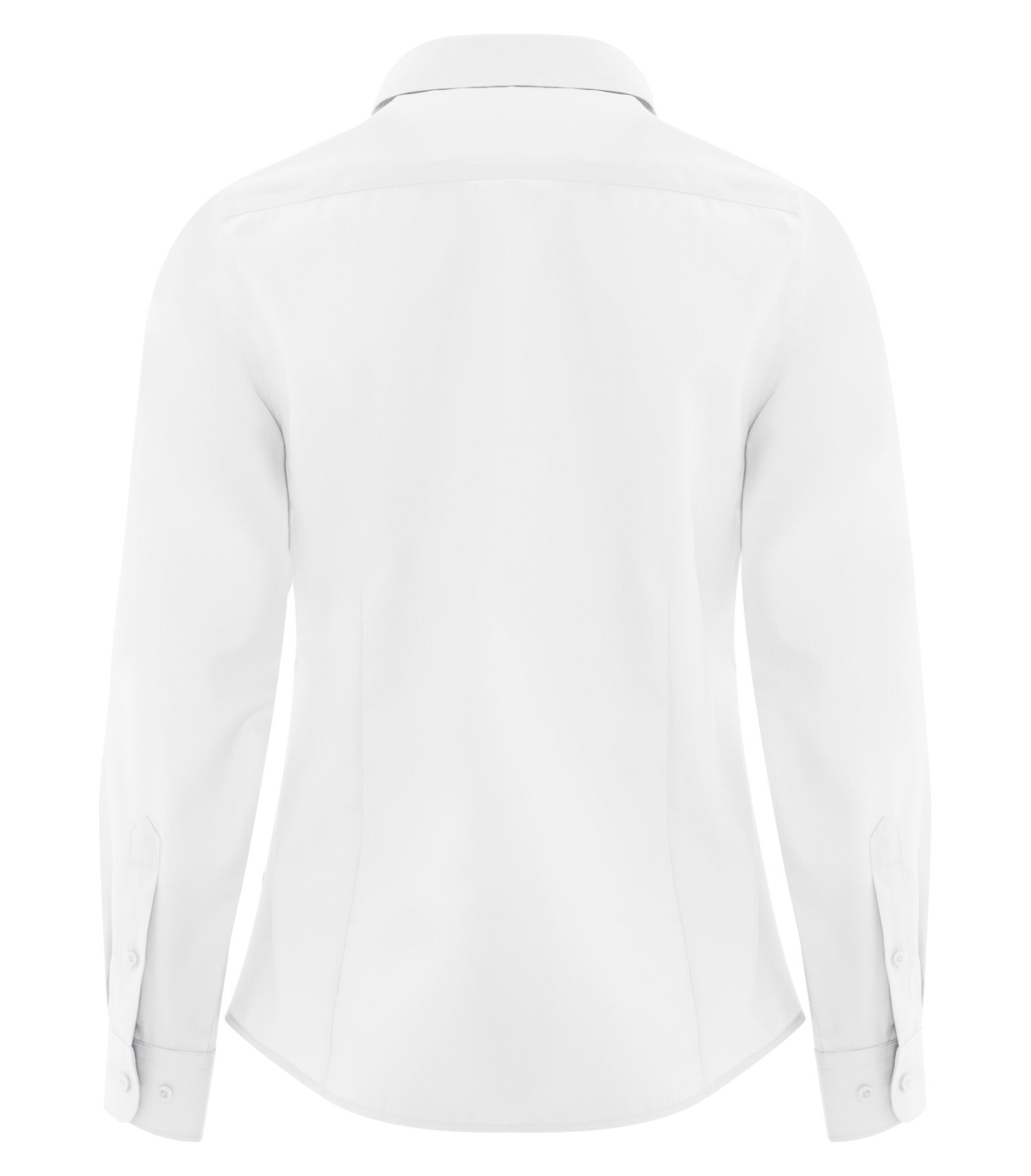 White-model Image