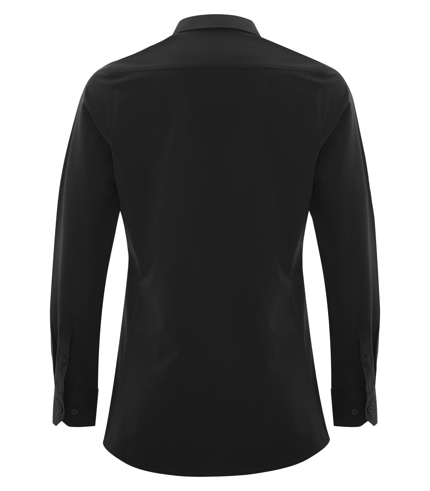 Black-model Image