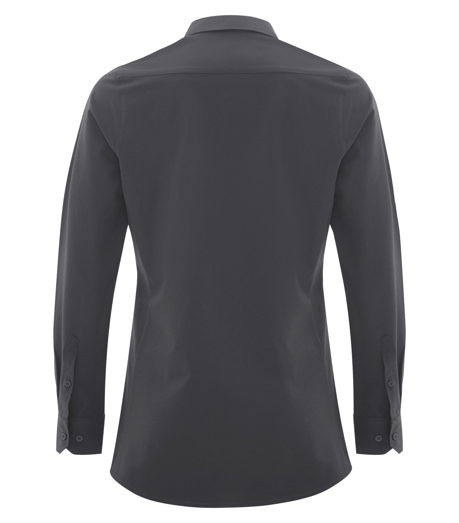 Iron Grey-model Image