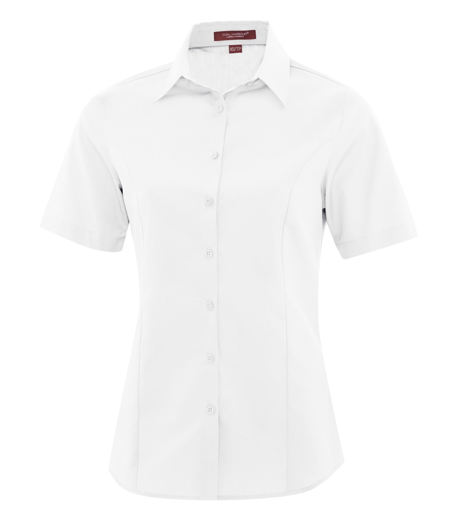 White-model Image