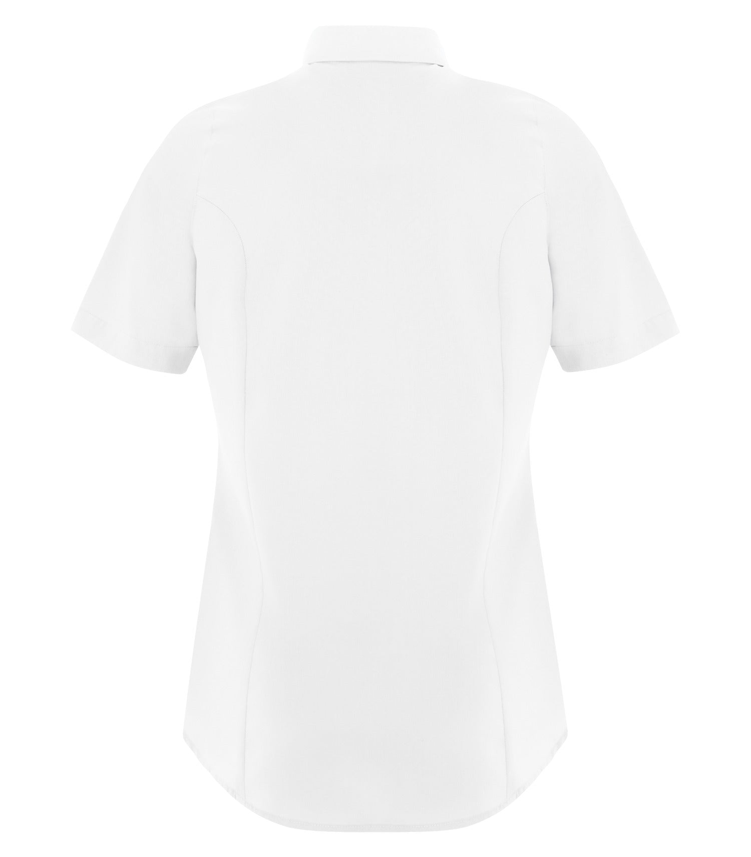 White-model Image