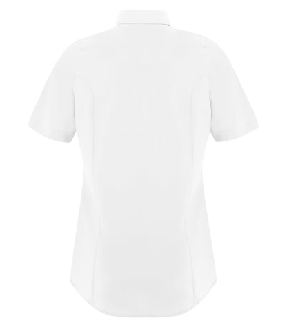 White-model Image