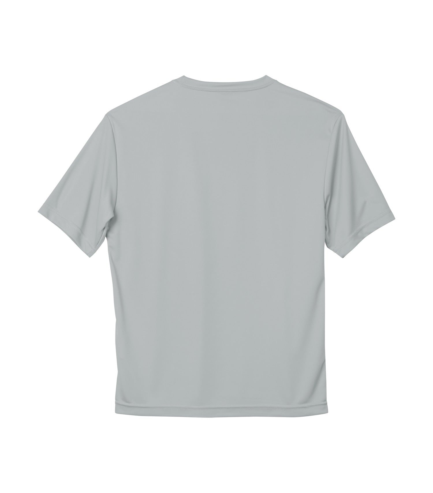 Silver-model Image