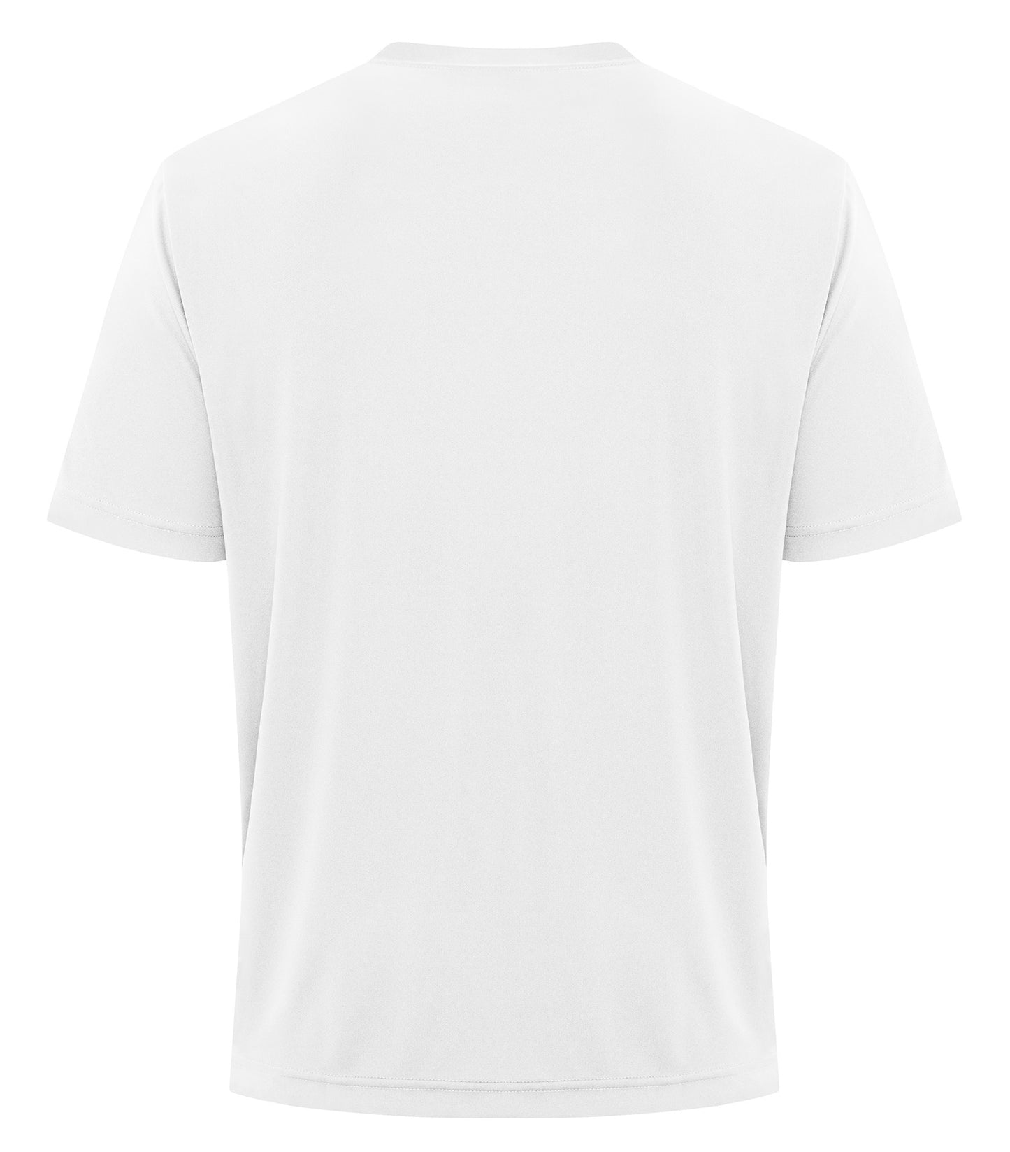 White-model Image