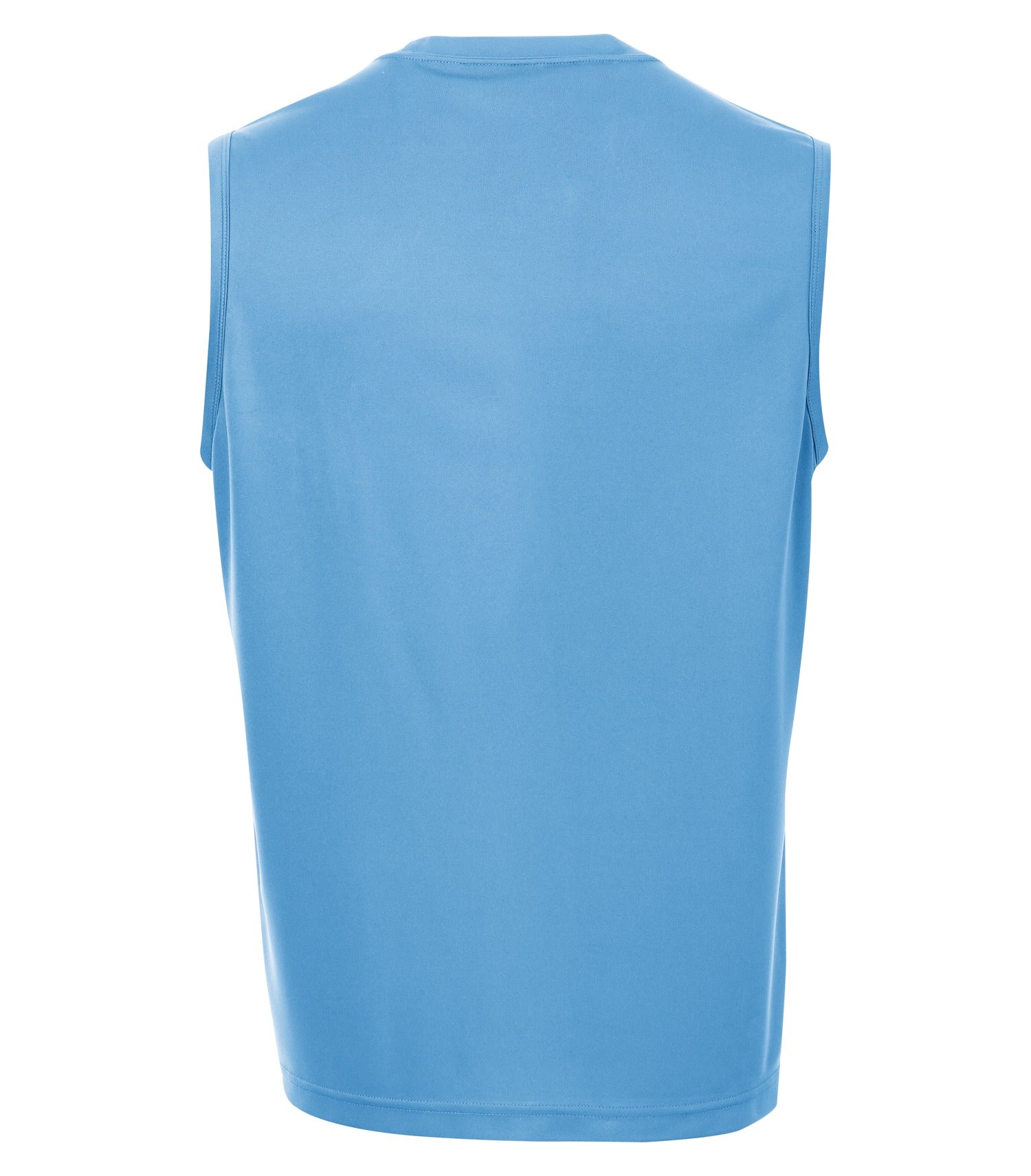 Carolina Blue-model Image