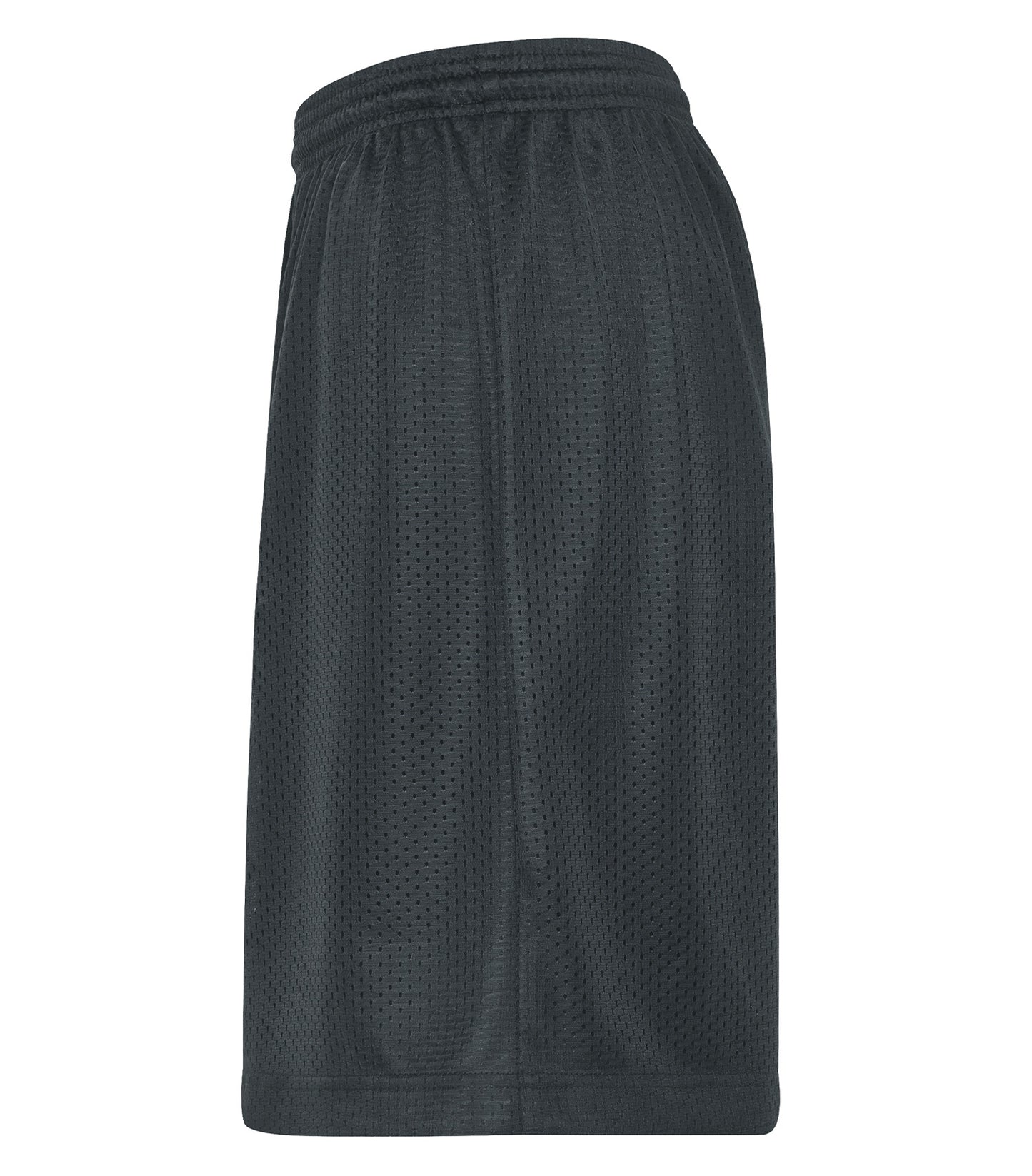 Iron Grey-model Image