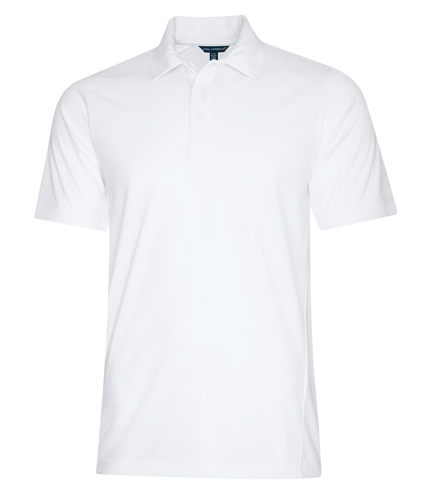 White-model Image