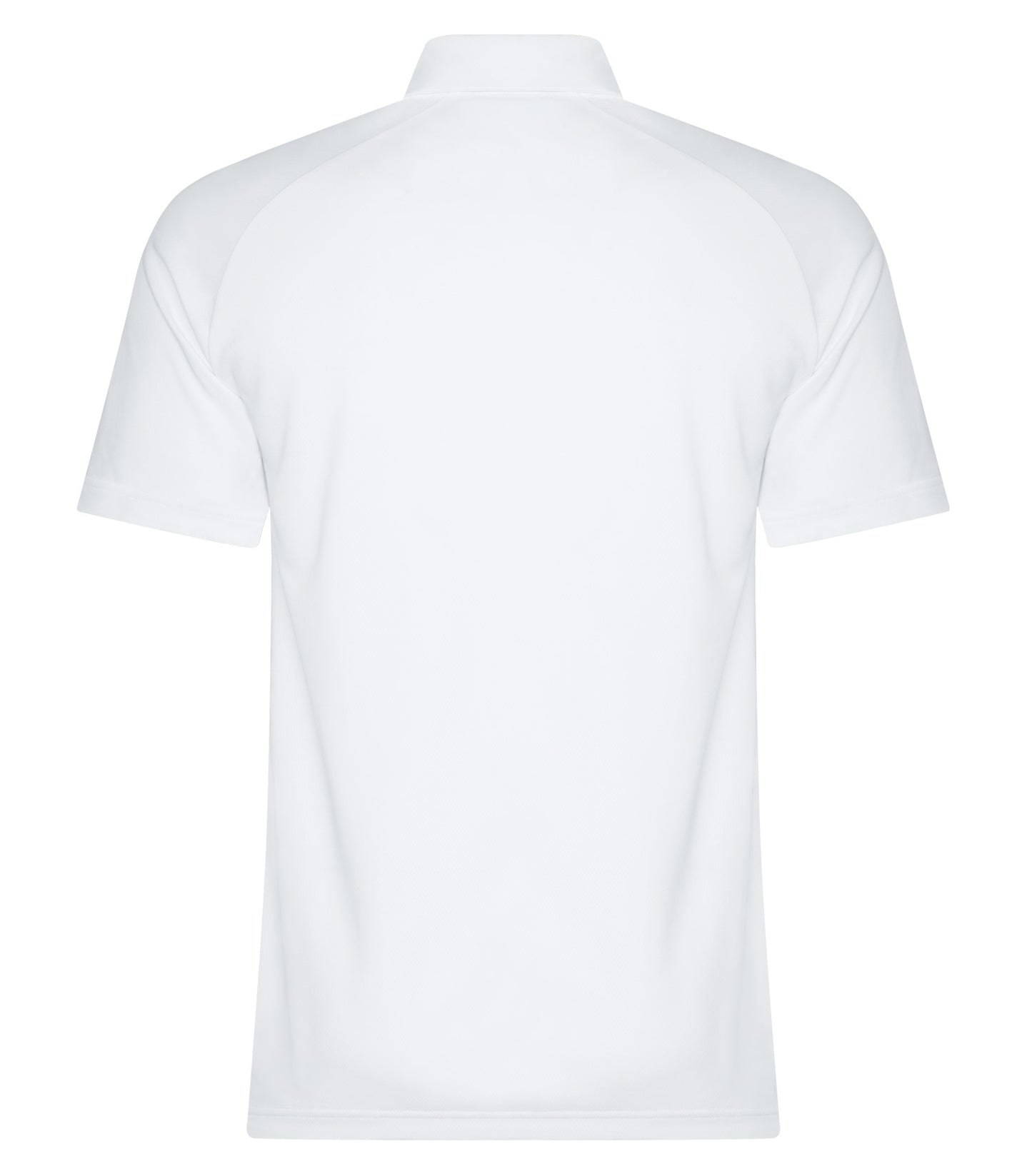 White-model Image