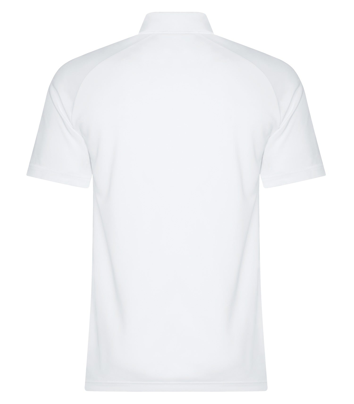 White-model Image