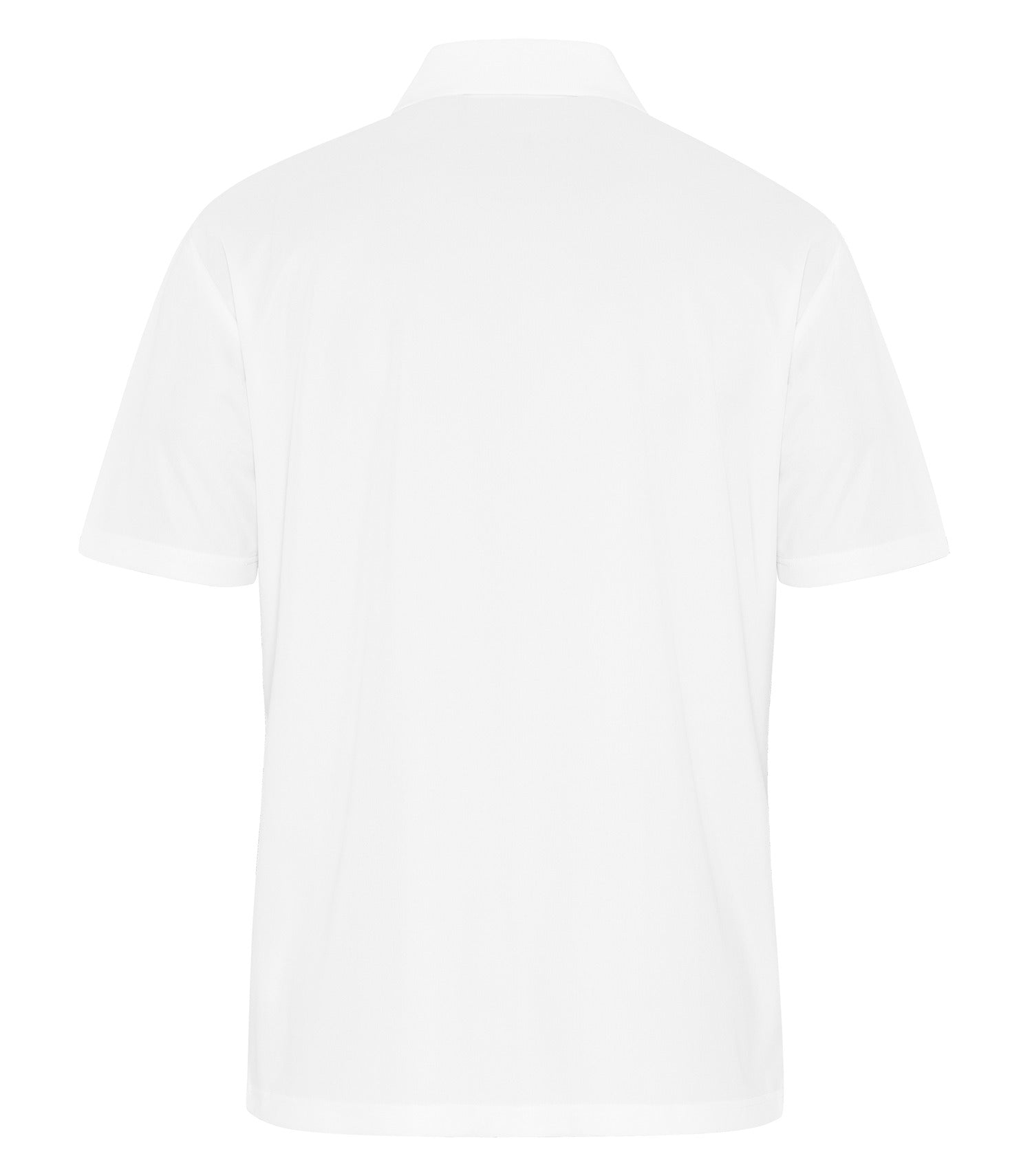 White-model Image